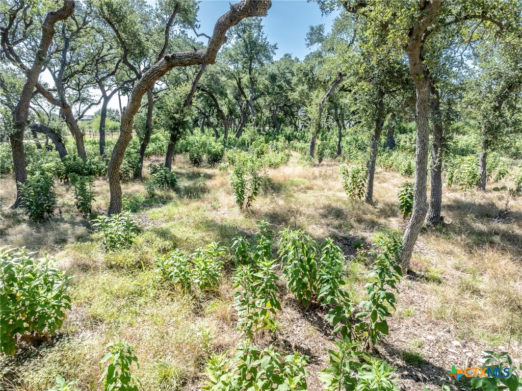 1625 Vintage Way Property Photo 19