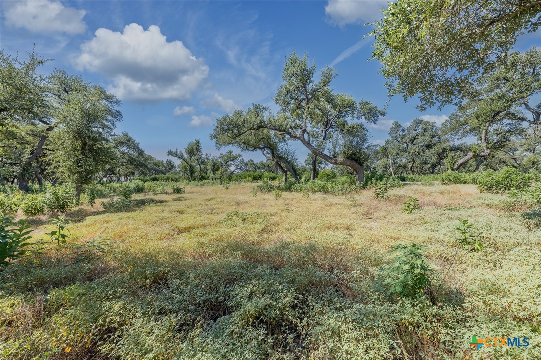 1625 Vintage Way Property Photo 20