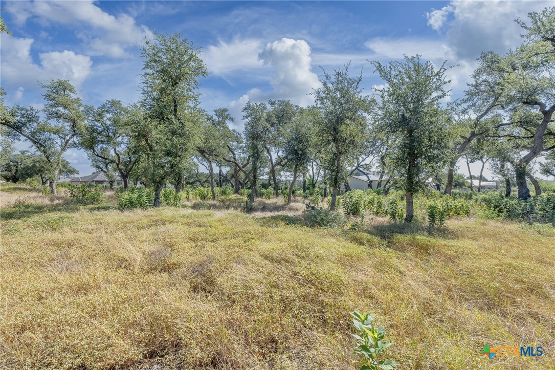 1625 Vintage Way Property Photo 21