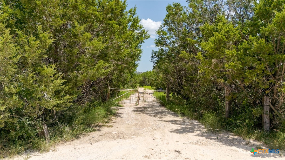 919 Star Lane Property Photo 1