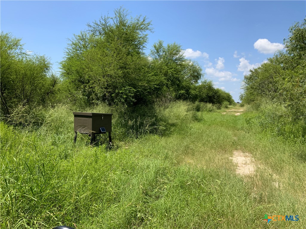 TBD County Road 1144 2 Property Photo 1