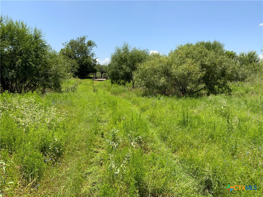 TBD County Road 2367
