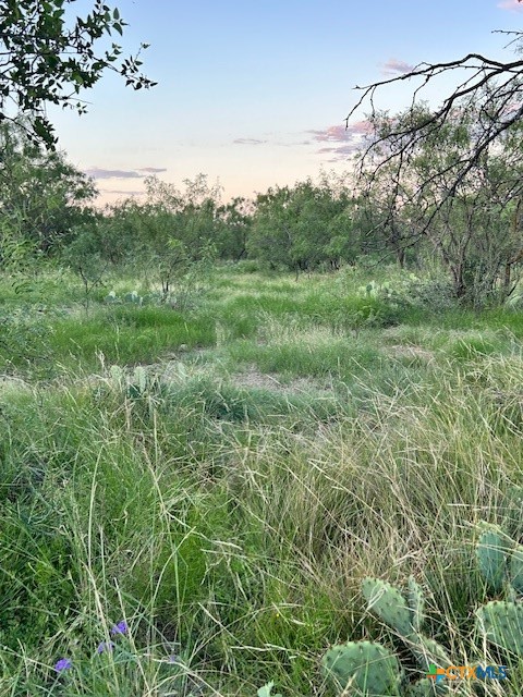 587 Valley Rd. Property Photo 4