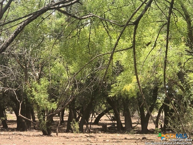 587 Valley Rd. Property Photo 13