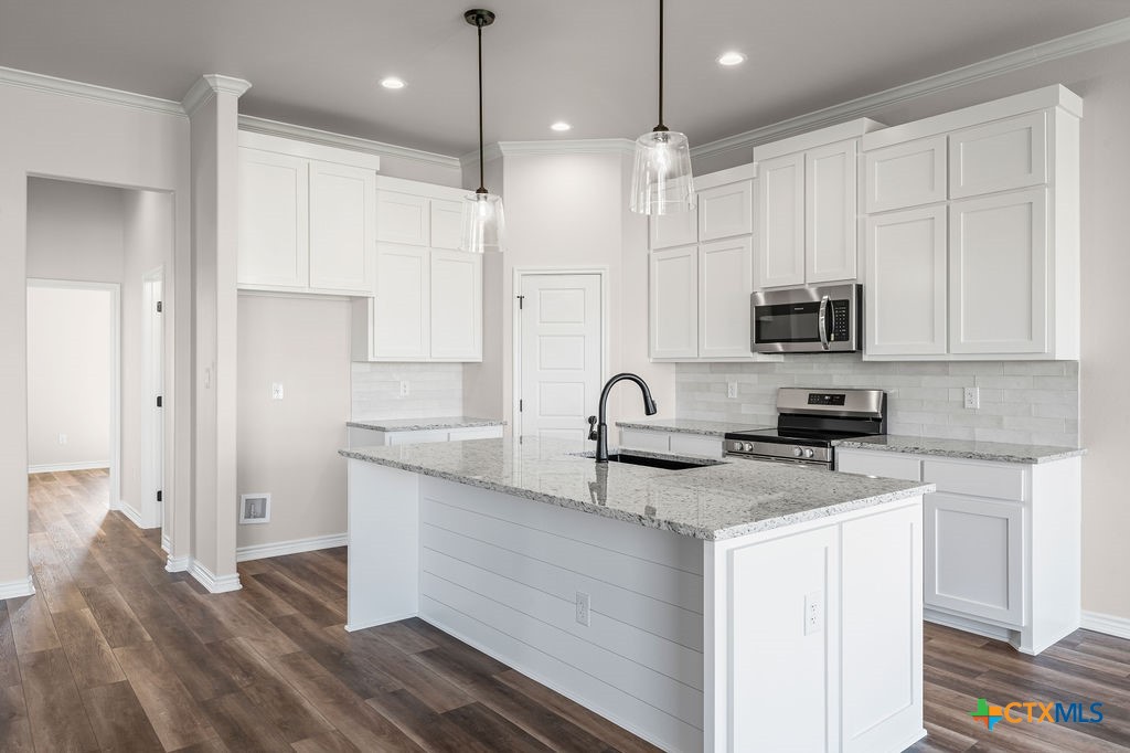 224 Creek Plum Lane Property Photo 3