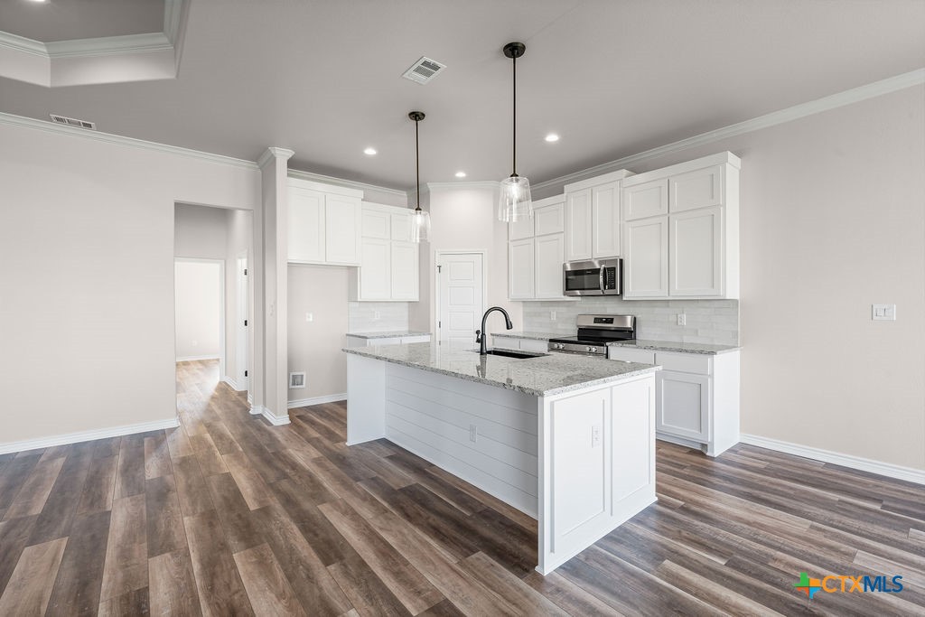 224 Creek Plum Lane Property Photo 21