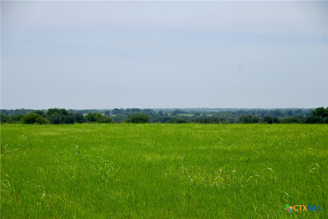 Tract 4 Company Field Road Property Photo 1