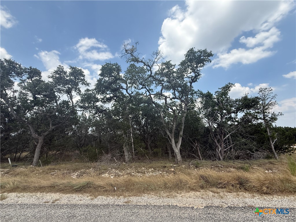 Lot 149 Restless Wind Corner Property Photo 9