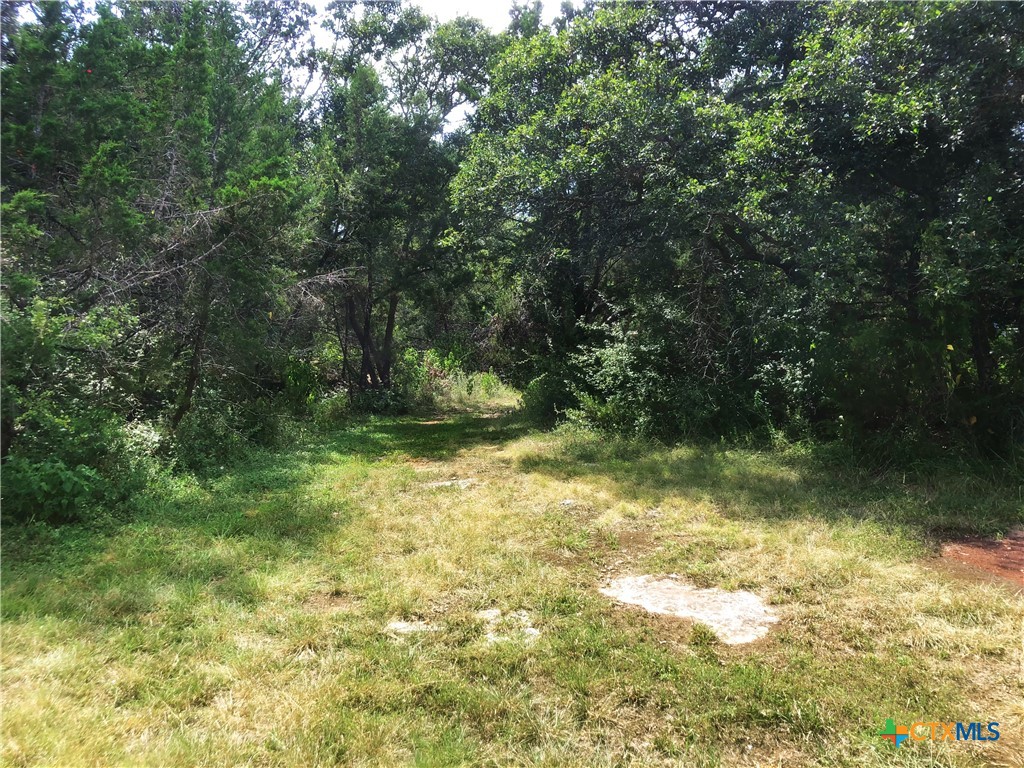 12308 Bonnie Lane Property Photo 7