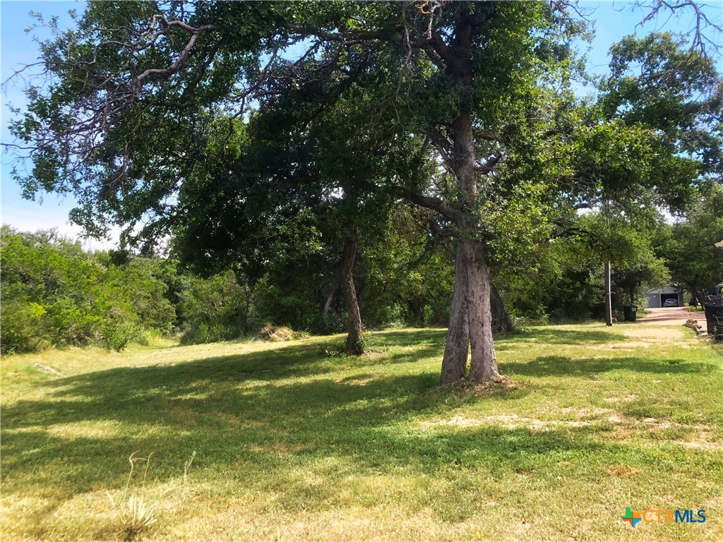 12308 Bonnie Lane Property Photo 8