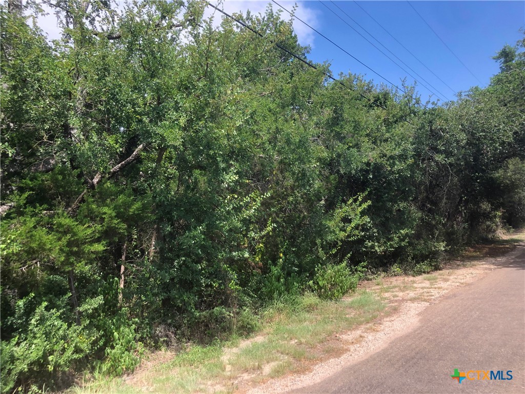12308 Bonnie Lane Property Photo 11