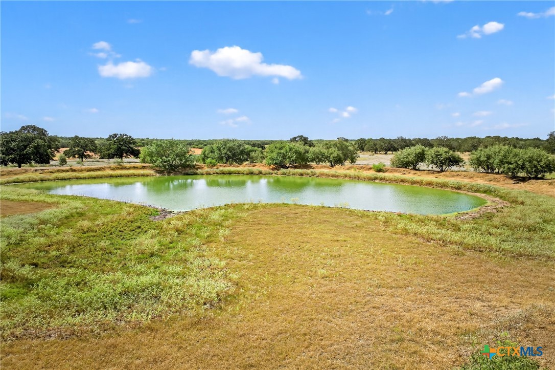 Tbd Hwy 80 Property Photo 5