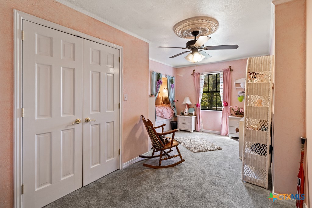 750 N Us Highway 287 Property Photo 12