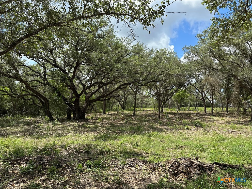 1776 Fm 1351 Property Photo 1