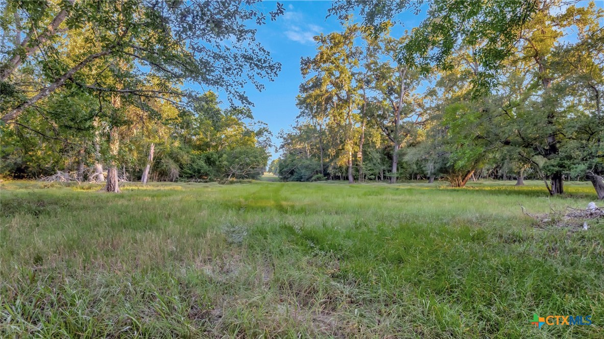 2698 County Road 284 Property Photo 7
