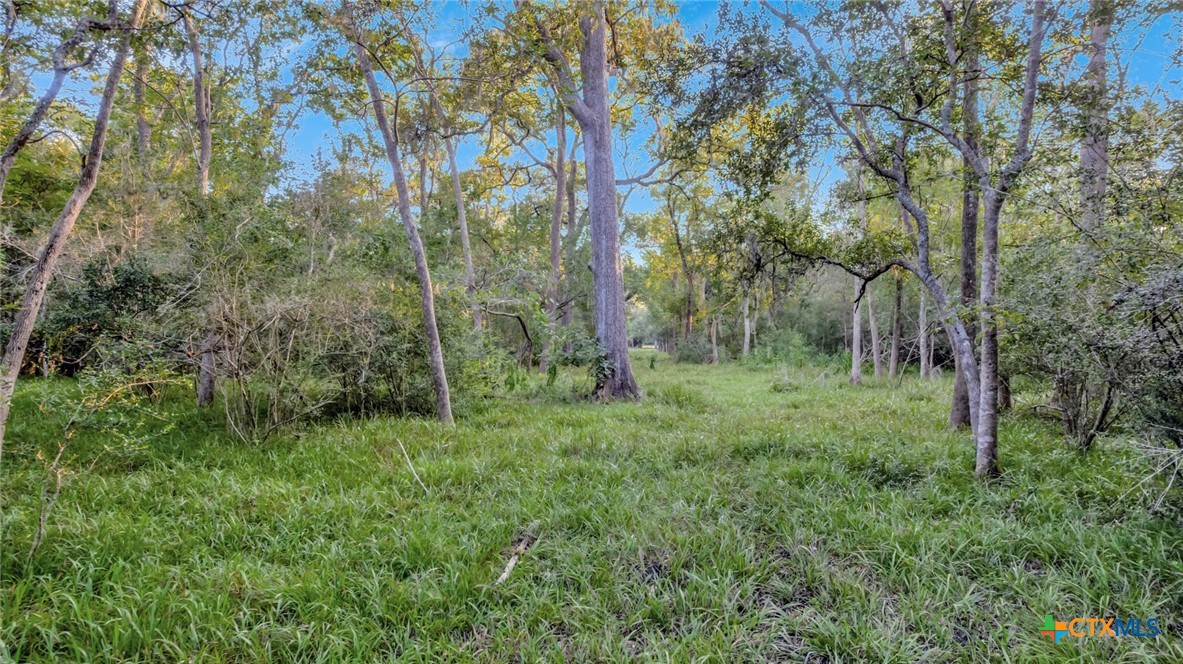 2698 County Road 284 Property Photo 10