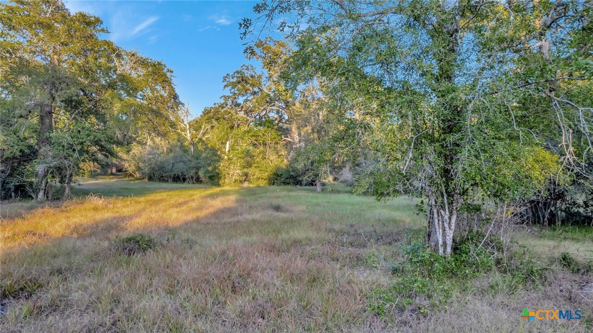 2698 County Road 284 Property Photo 12