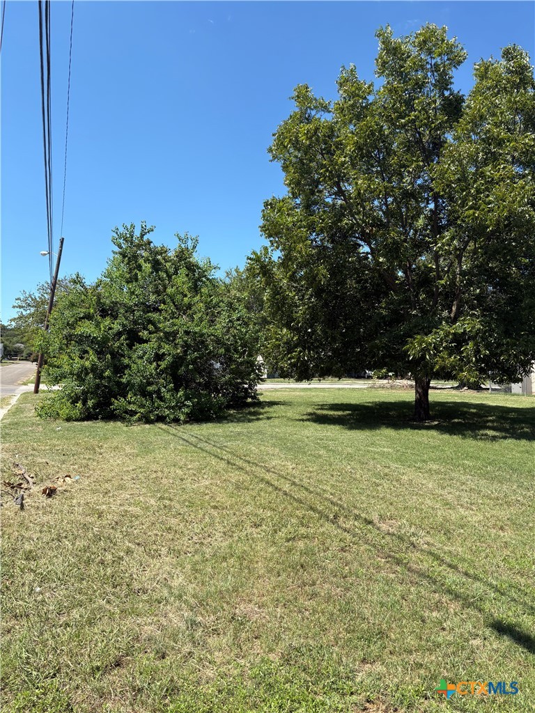 519 Judy Lane Property Photo 3