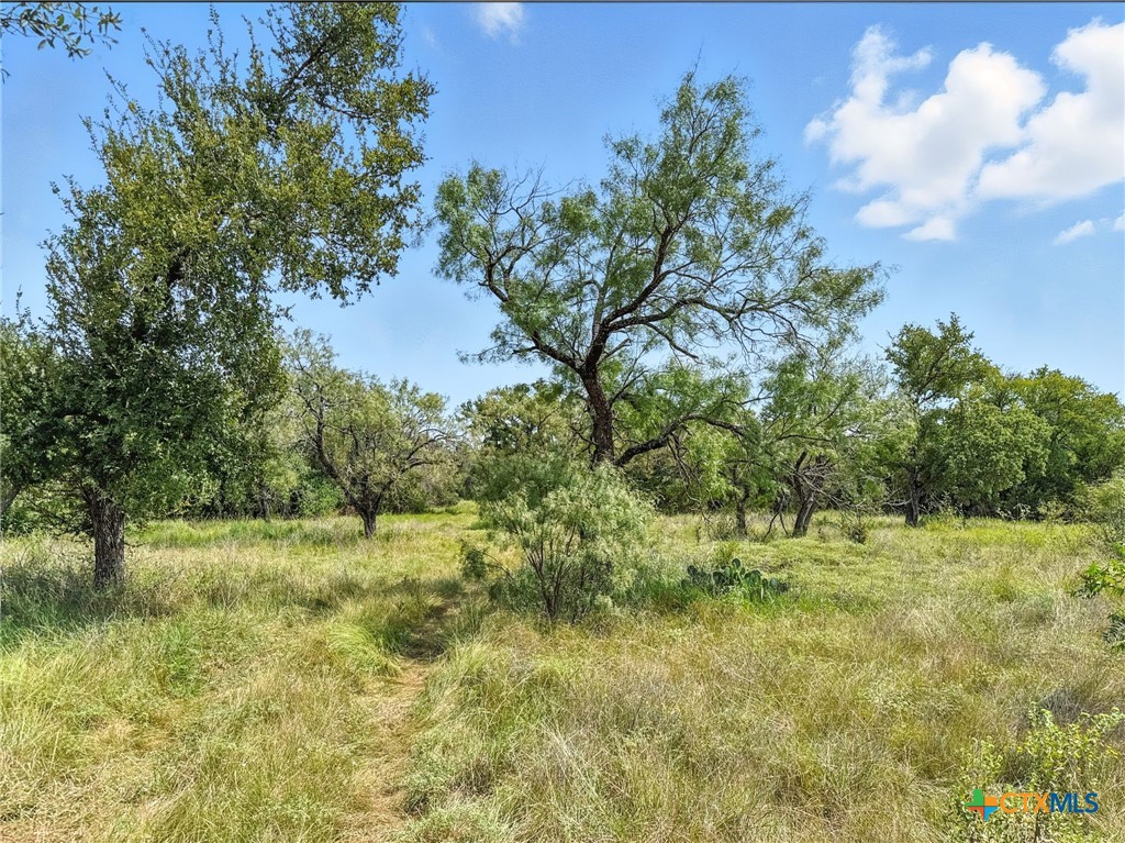 Lot 2 Ph 6 Cr 421 Property Photo 1