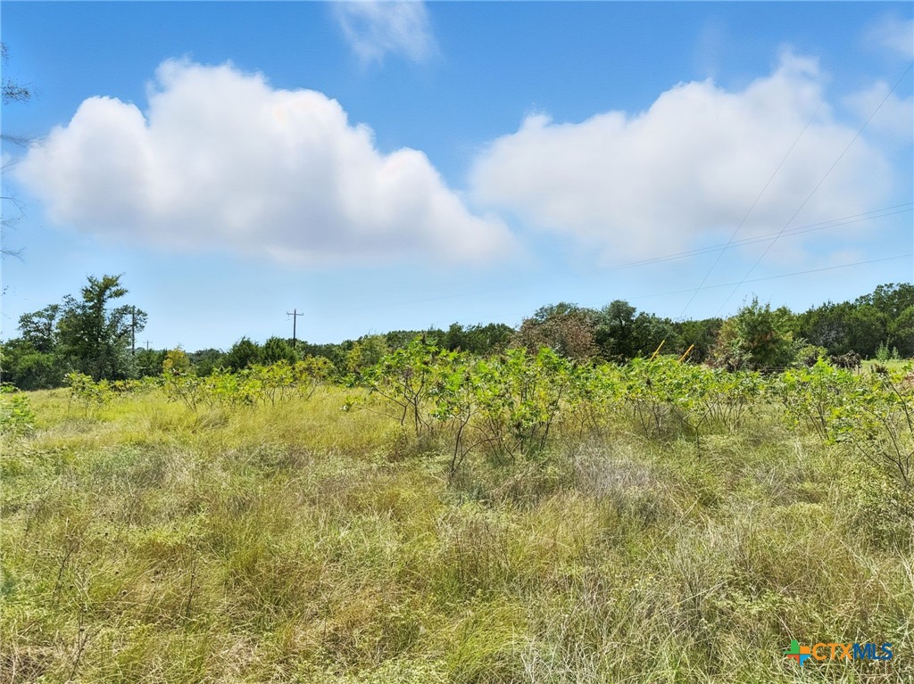 Lot 2 Ph 6 Cr 421 Property Photo 2