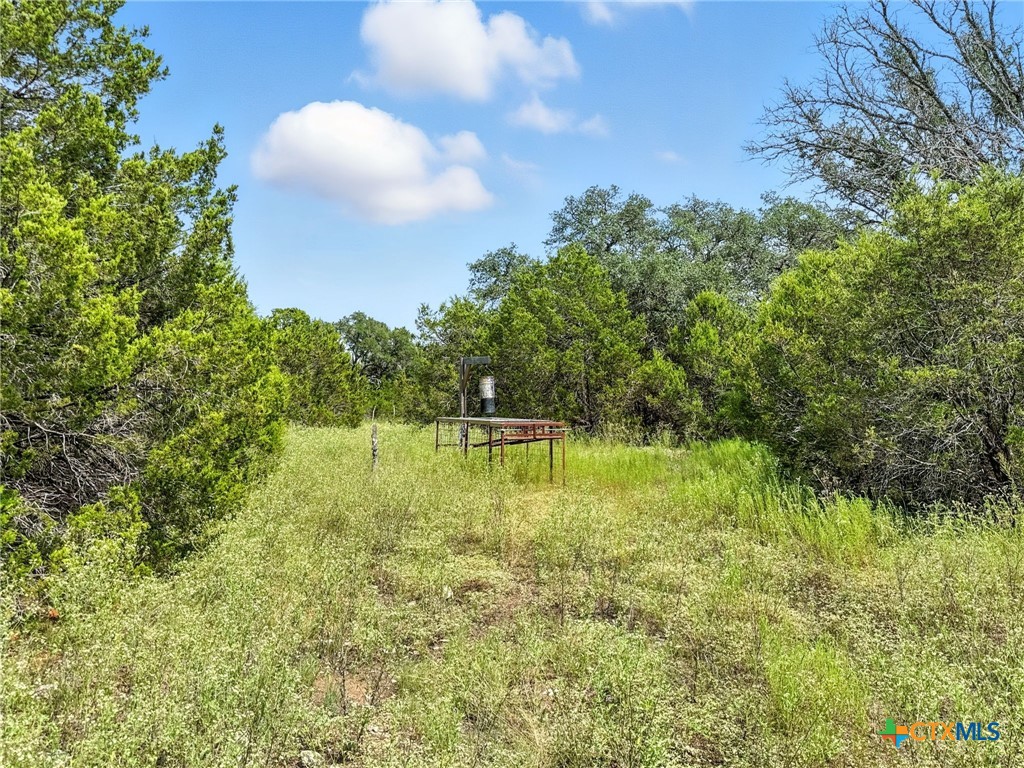 Lot 2 Ph 6 Cr 421 Property Photo 5