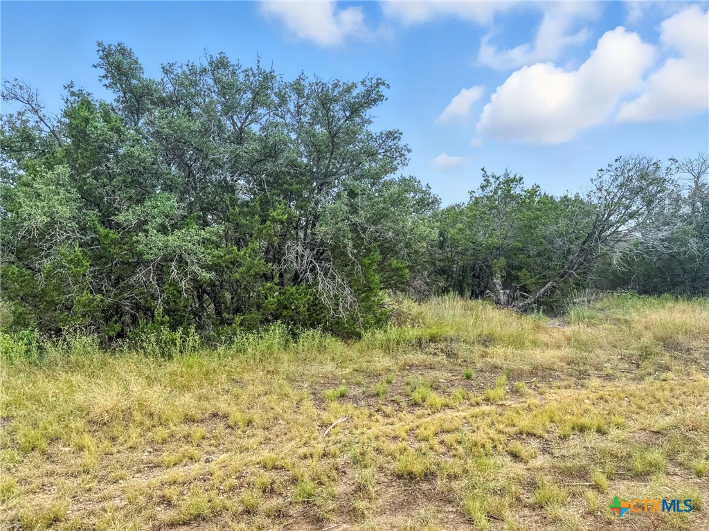 Lot 2 Ph 6 Cr 421 Property Photo 6