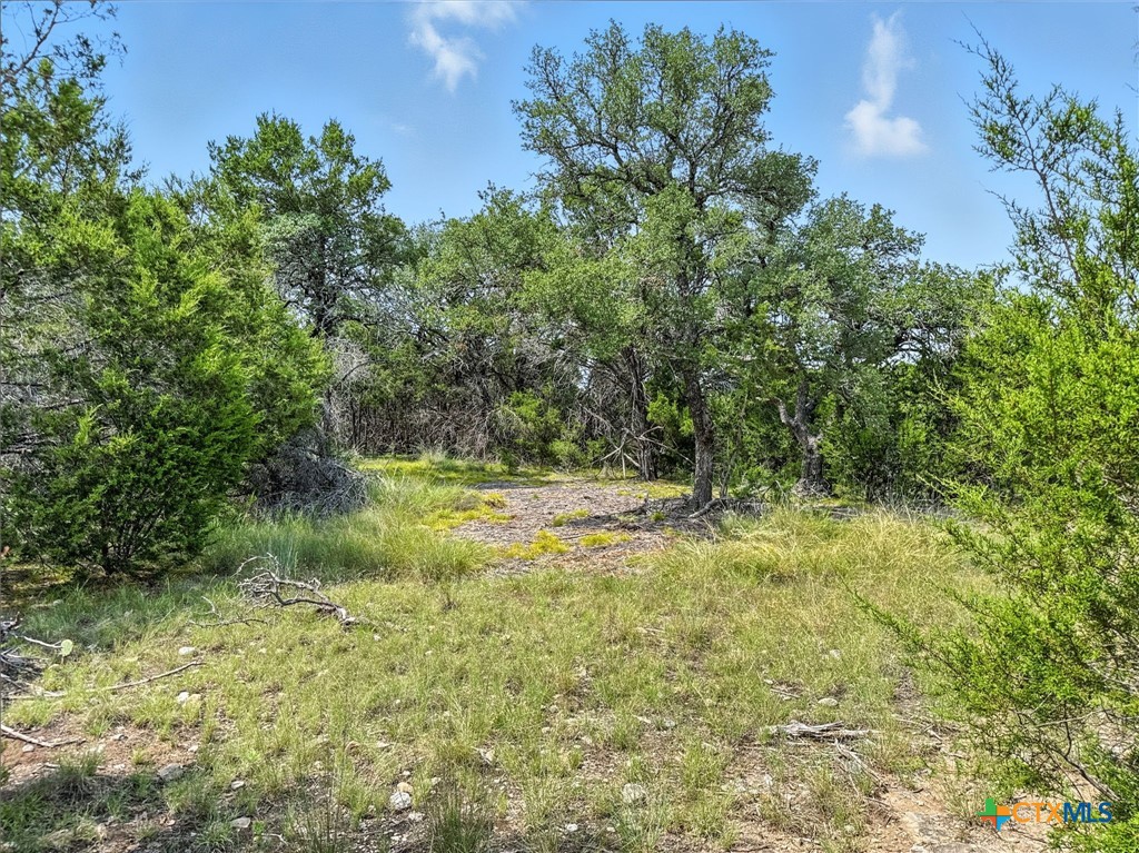 Lot 2 Ph 6 Cr 421 Property Photo 9