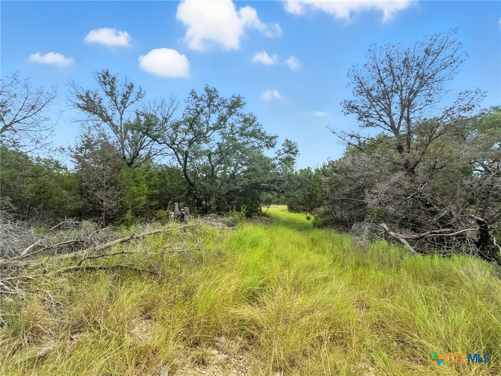 Lot 2 Ph 6 Cr 421 Property Photo 10