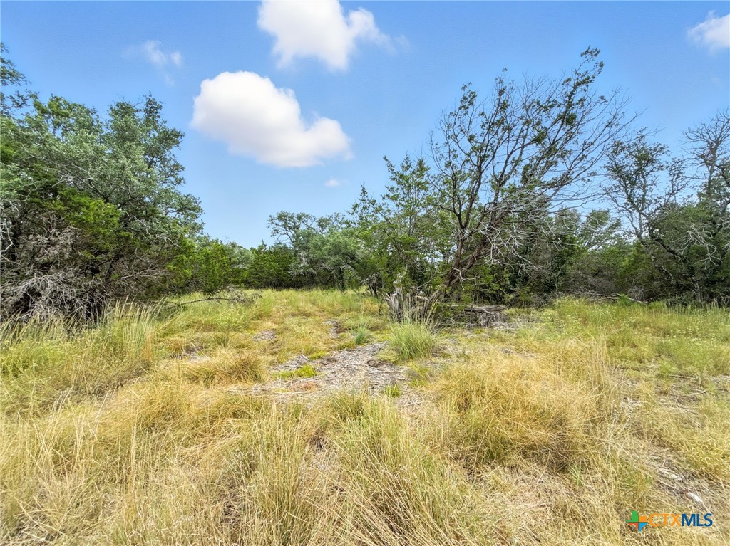 Lot 2 Ph 6 Cr 421 Property Photo 11