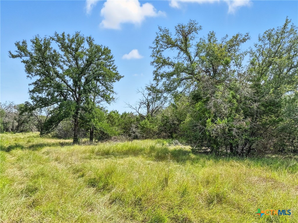 Lot 2 Ph 6 Cr 421 Property Photo 12