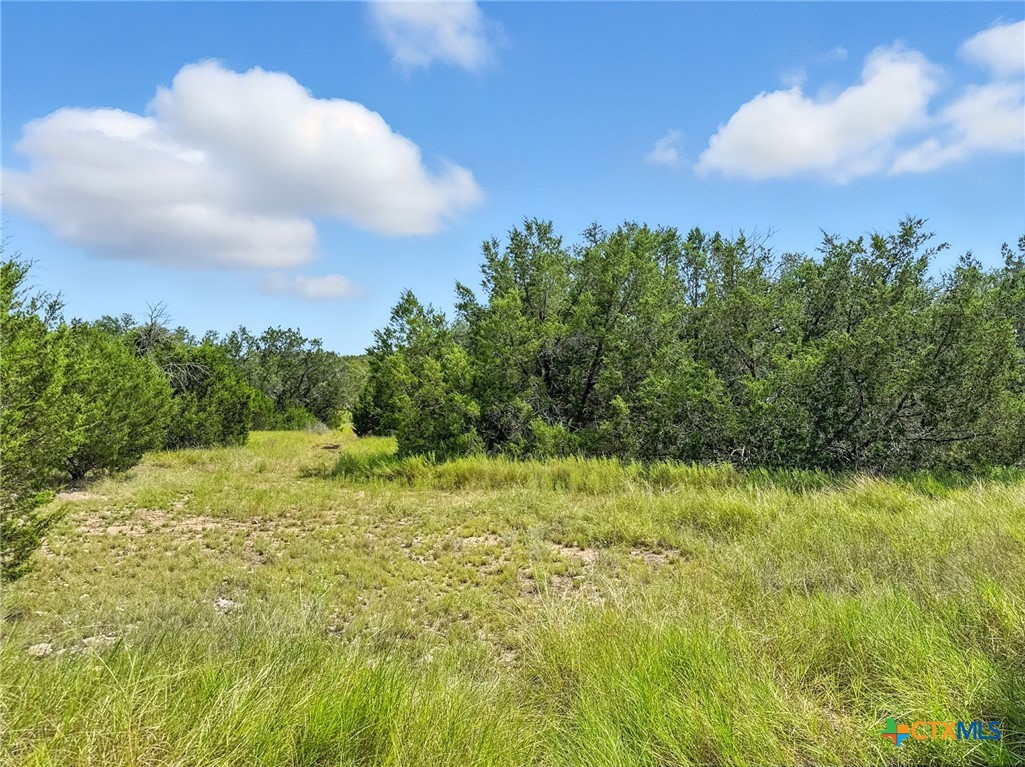 Lot 2 Ph 6 Cr 421 Property Photo 13