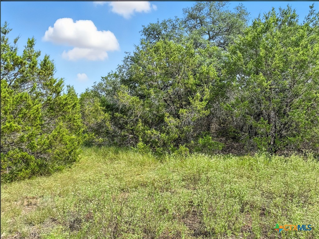 Lot 2 Ph 6 Cr 421 Property Photo 15