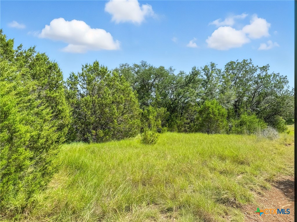 Lot 2 Ph 6 Cr 421 Property Photo 16