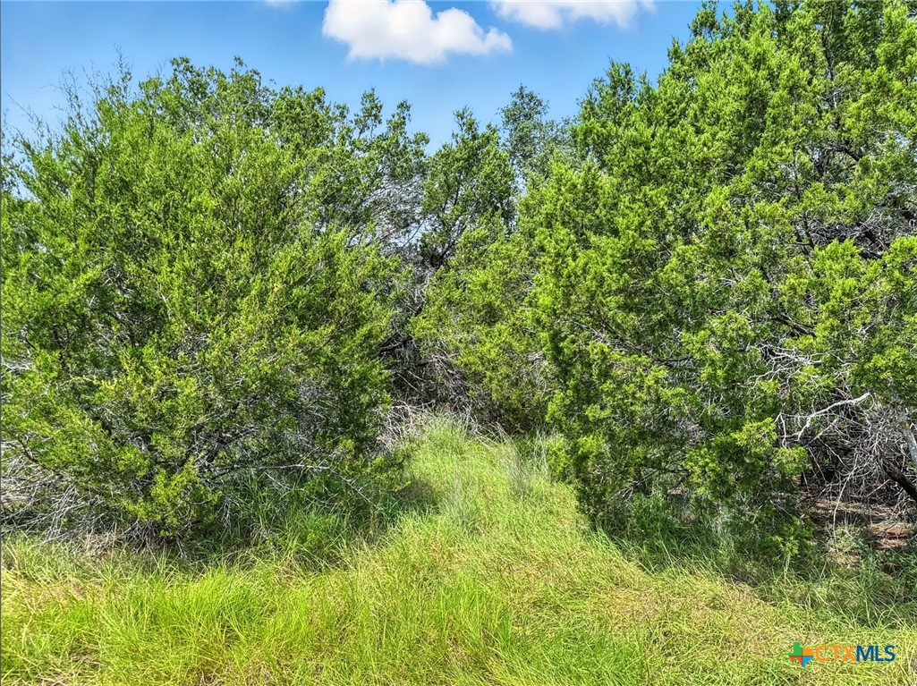 Lot 2 Ph 6 Cr 421 Property Photo 17
