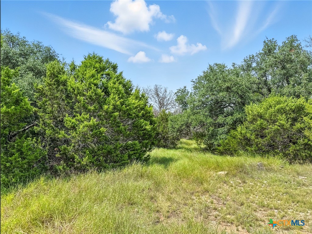 Lot 2 Ph 6 Cr 421 Property Photo 18