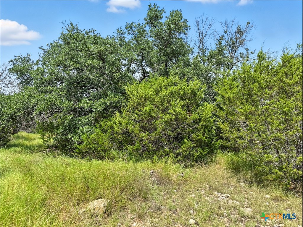 Lot 2 Ph 6 Cr 421 Property Photo 19