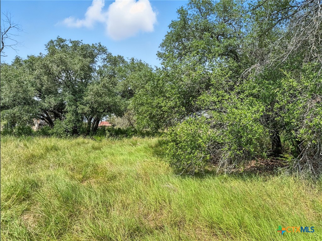 Lot 2 Ph 6 Cr 421 Property Photo 21