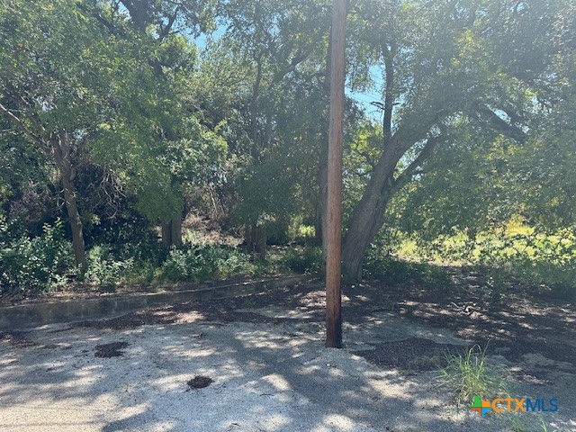 1219 N 1st Street Property Photo 6