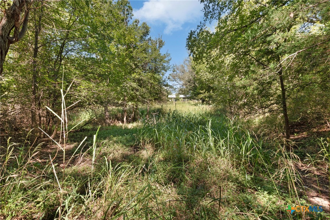 1404 Central Texas Expressway Property Photo 8