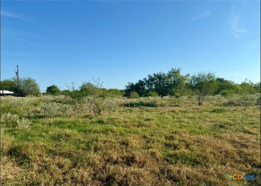 817 Mcadams Road Property Photo 1
