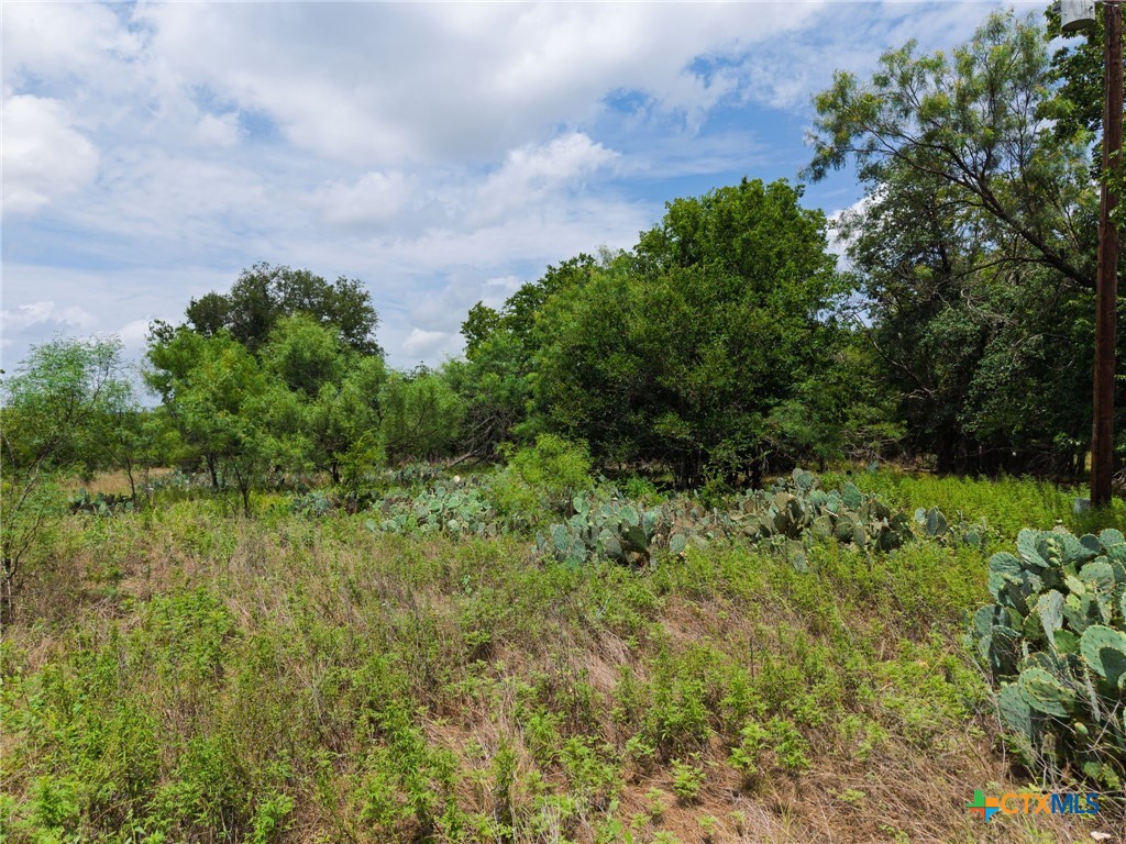 3927 County Road 3210 Property Photo 40