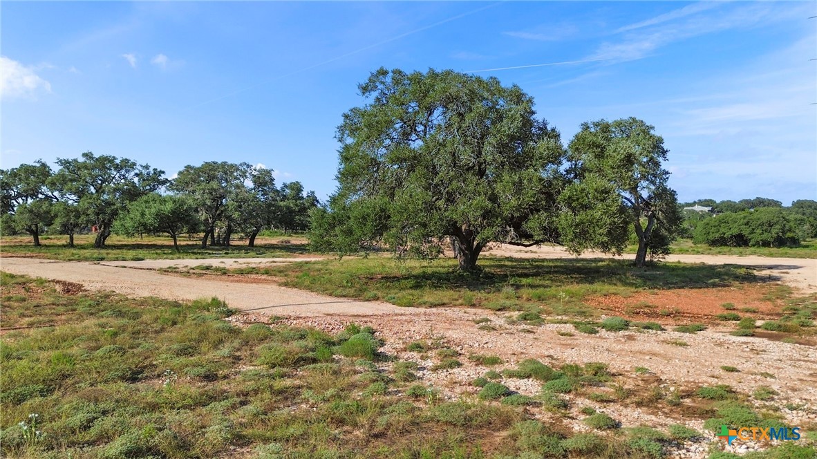 154 Lone Oak Road Property Photo 1