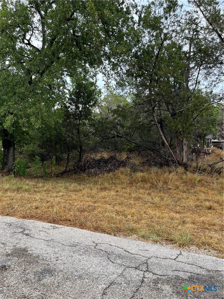 1051 Somerset Property Photo 1