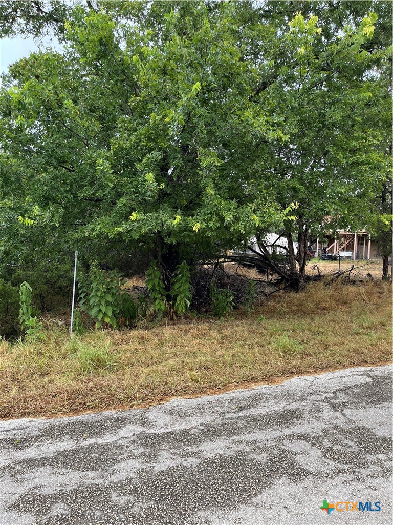 1051 Somerset Property Photo 2