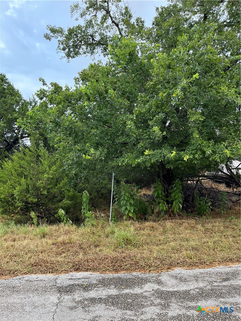 1051 Somerset Property Photo 3