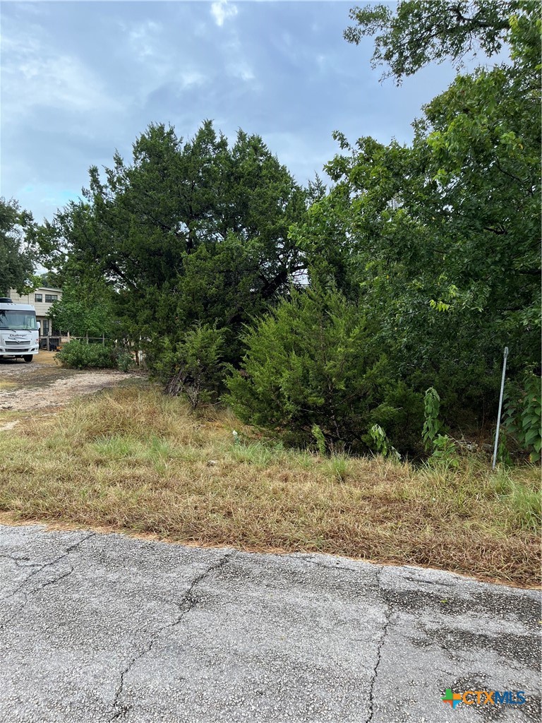 1051 Somerset Property Photo 4