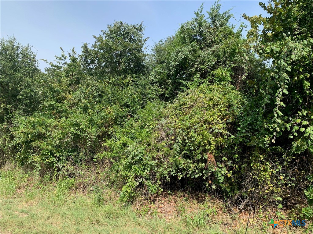 Tbd Cr 414 Property Photo 5
