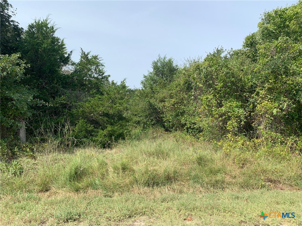 Tbd Cr 414 Property Photo 6