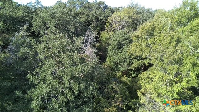 Tbd Cr 414 Property Photo 11