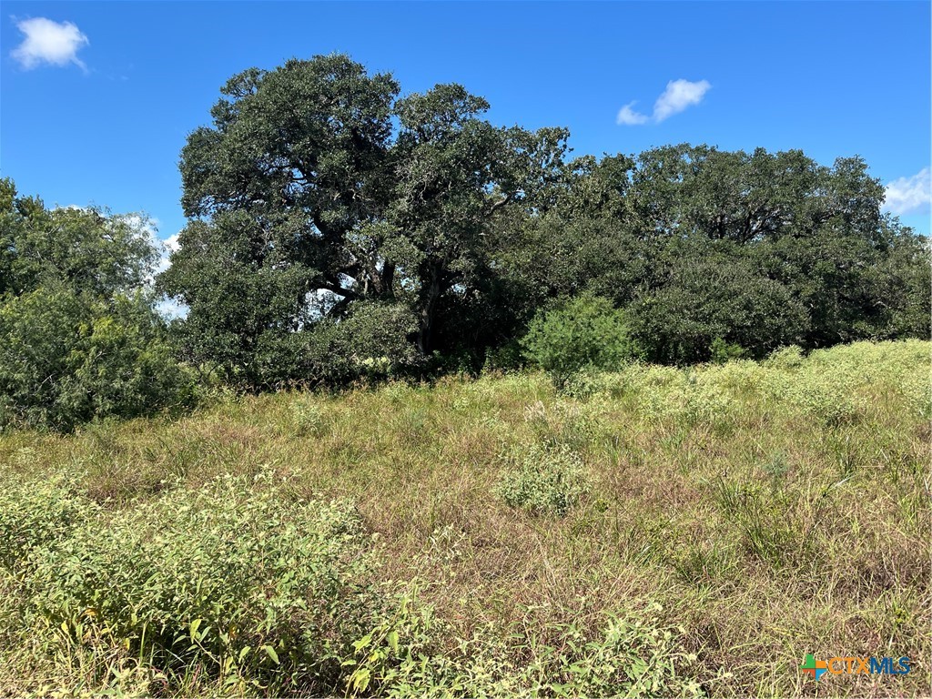 394 Hubalek Road Property Photo 1